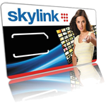 Skylink Skylink